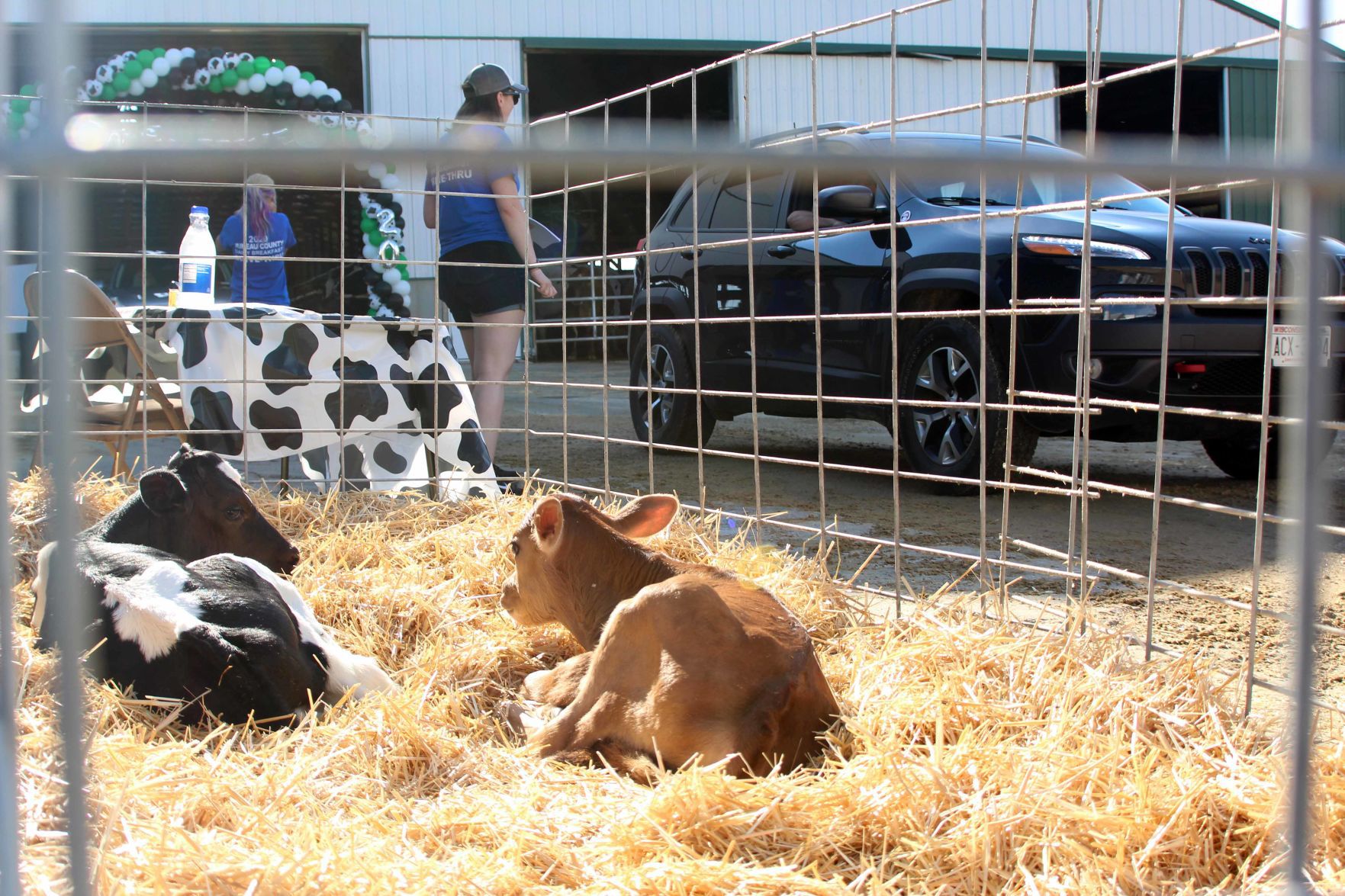 070220-star-gallery-dairy015.jpg
